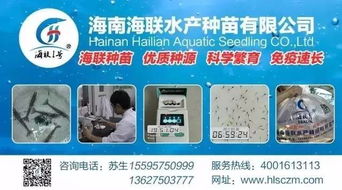 行情高漲激發(fā)養(yǎng)戶熱情，淡水魚功能料時(shí)代 超越噱頭的技術(shù)深耕與價(jià)值回歸